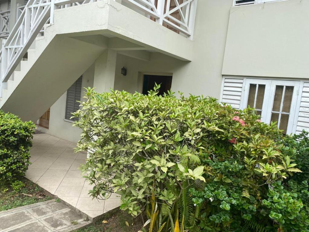 Finest Accommodation Renfrew Place 1 Bedroom Apt # 42 New Kgn 4--12 Renfrew Rd كينغستون المظهر الخارجي الصورة